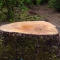 Stump Grinding Colchester