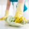 cleaning services, carpet cleaning, end of tenancy cleaing, domestic cleaning, oven cleaning