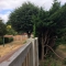 Garden fence - party wall