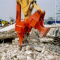 Rock Crusher