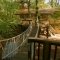 Treehouse Study Centre