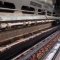 Weaver at Axminster Carpets