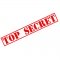 Kids Spy Party