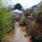 Our well stocked outdoor plant area