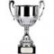 cups of all styles and sizes