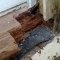 timber repairs