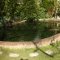 Lagre Koi Pond
