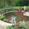 Koi Pond