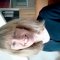 Pam Arland BA(Hons) Dip Couns MBACP