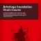 Britchops Foundation Drum Course Cover Page