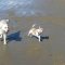Two of our clients enjoying a trip to the beach
