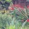 A splash of colour