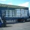 Large Collections Catered For