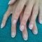 French Shellac