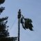 Safe lowering of tree