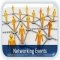 Networking Events