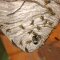 Wasp Nest Removal Glasgow