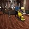carpet cleaning ayr