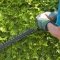 Hedge Cutting Colchester