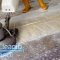 cleaning services, carpet cleaning, end of tenancy cleaing, domestic cleaning, oven cleaning